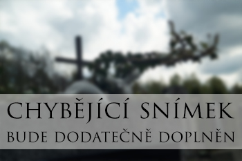 dokumentace pomníku_451
